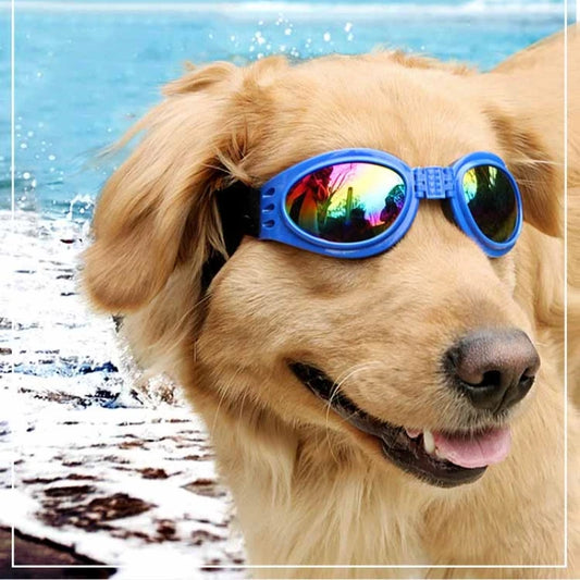 6 Colors Fold Pet Dogs Glasses Prevent UV Pet Glasses for Cats Dogs Fashion Sunglasses Dogs Goggles Photo Prop Pet Accessories