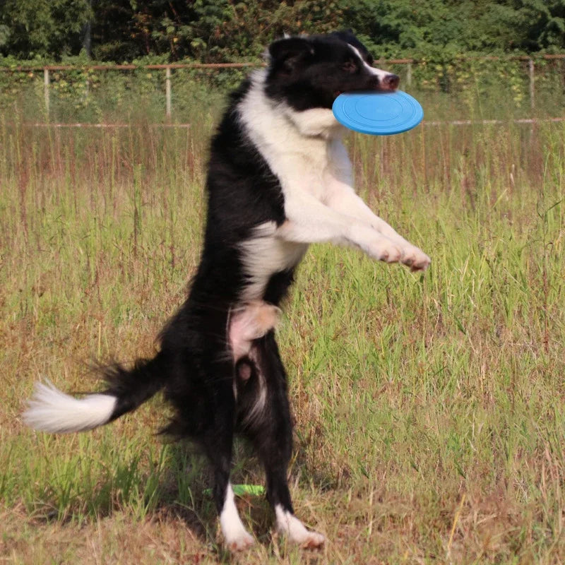 Dog Flying Discs Silicone Flying Saucer Dog Toy Dog Game Flying Discs Resistant Chew Puppy Training Interactive Pet Supplies