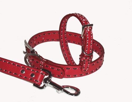 Leather Dog Collar- Red-Chocolate