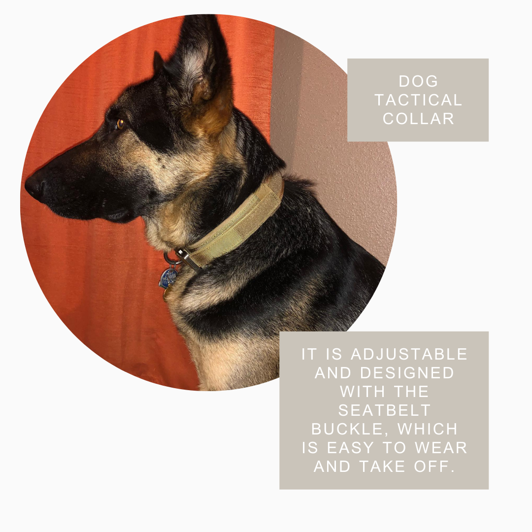 Durable Tactical Dog Collar